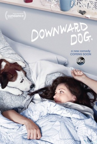Góc Nhìn Của Chó 1 - Downward Dog Season 1