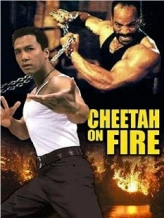 Liệp Báo Hành Động - Cheetah On Fire