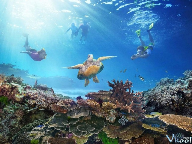Xem Phim Khám Phá Rạn San Hô Vĩ Đại Với David Attenborough - Bbc: Great Barrier Reef With David Attenborough - Vkool.Net - Ảnh 2