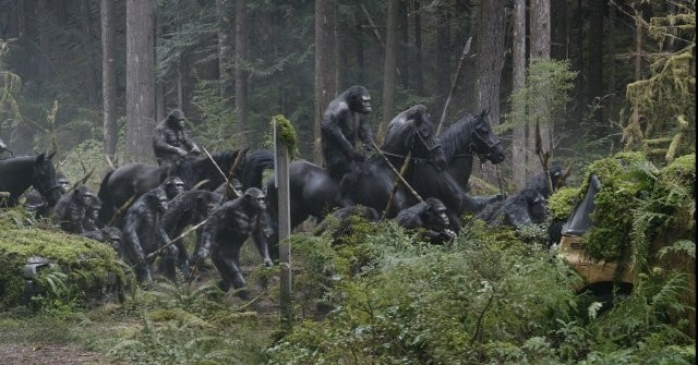 Xem Phim Sự Khởi Đầu Của Hành Tinh Khỉ - Dawn Of The Planet Of The Apes - Vkool.Net - Ảnh 6
