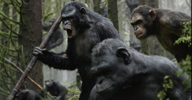 Xem Phim Sự Khởi Đầu Của Hành Tinh Khỉ - Dawn Of The Planet Of The Apes - Vkool.Net - Ảnh 2