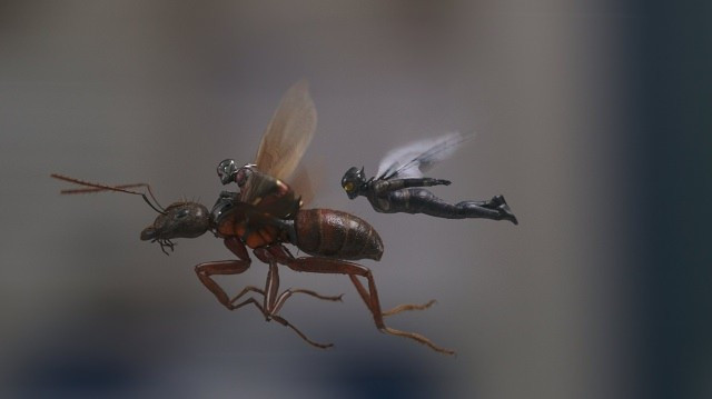 Xem Phim Người Kiến Và Chiến Binh Ong - Ant-man And The Wasp - Vkool.Net - Ảnh 3