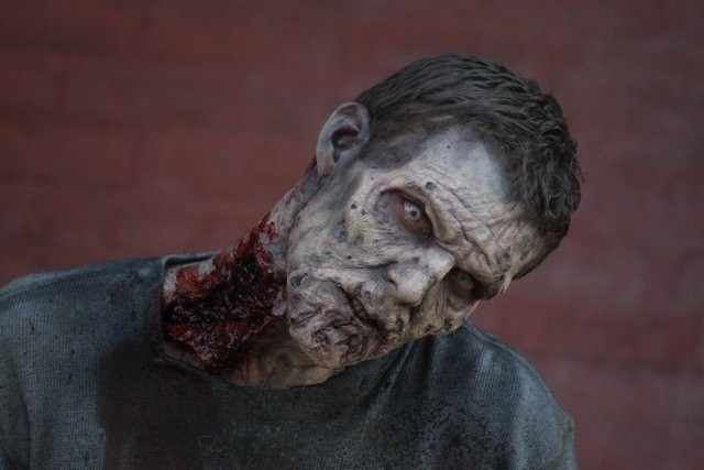 Xem Phim Xác Sống 5 - The Walking Dead Season 5 - Vkool.Net - Ảnh 3