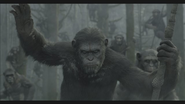 Xem Phim Sự Khởi Đầu Của Hành Tinh Khỉ - Dawn Of The Planet Of The Apes - Vkool.Net - Ảnh 7
