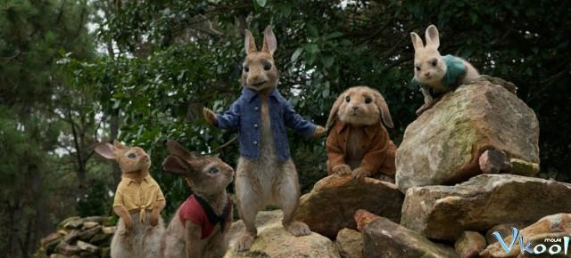 Xem Phim Thỏ Peter - Peter Rabbit - Vkool.Net - Ảnh 2