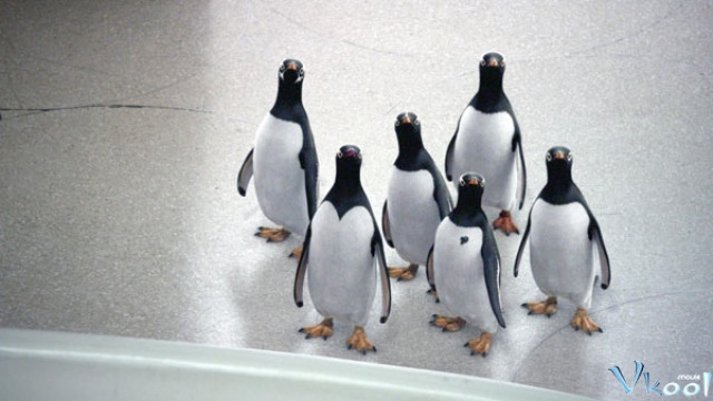 Xem Phim Bầy Cánh Cụt Nhà Popper - Mr. Popper's Penguins - Vkool.Net - Ảnh 2